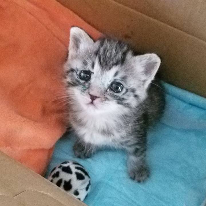 6e42a6c6 002f 4929 bd9e 44dc6632607d 1660046909944