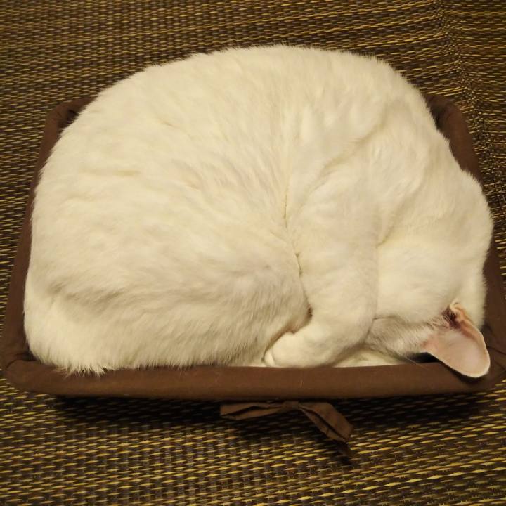 6e42b5d2 75d9 44ea 9ee8 62eca645170f 1573229058600