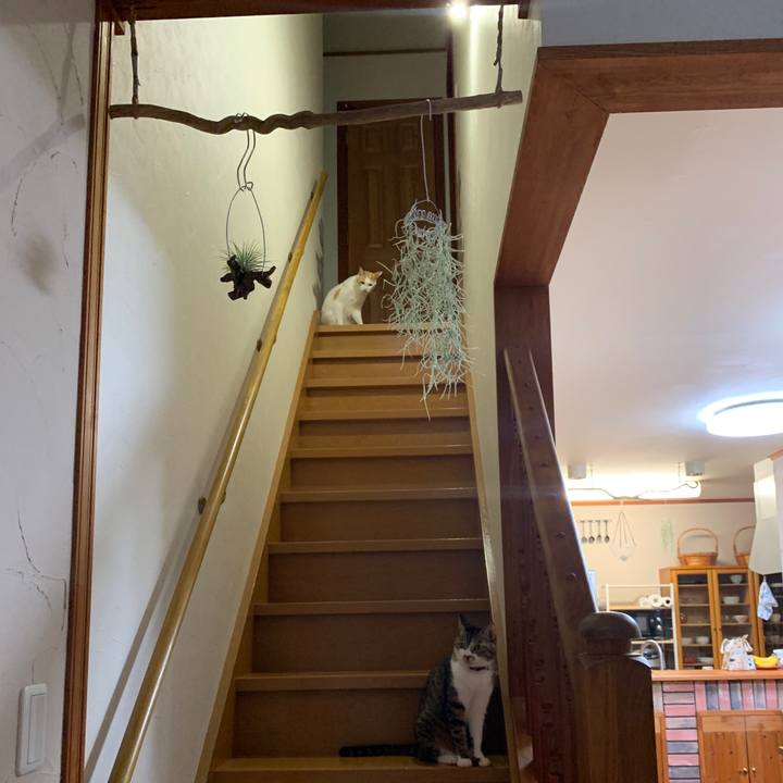 6e42def3 3454 4734 9006 cfed6c1080be 1652096642998