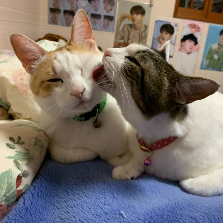 6e42f90b 3461 4992 baff 641a19d5b2c9 1585323036198