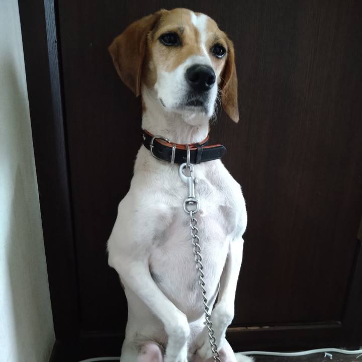 6e4320ba 48c9 4f9f b2bd 5c19ac607988 1628934198280