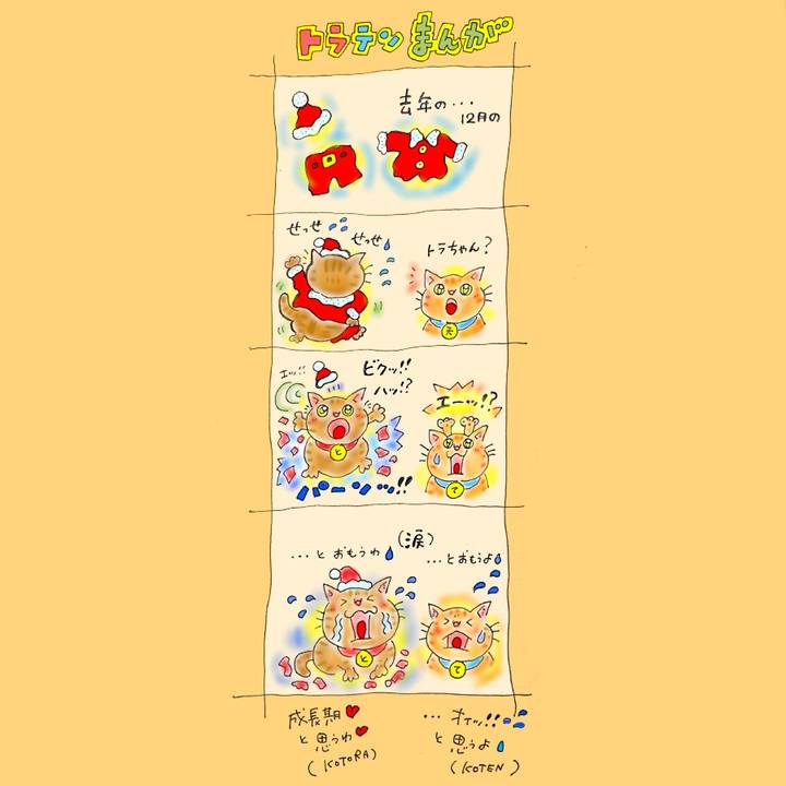 6e4366ef 81ec 4008 8da7 06484bcfabdb 1576593651525