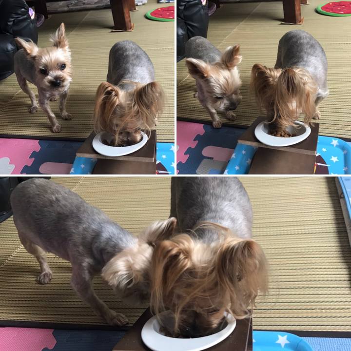 6e436bd6 fb8f 4b52 a04a 88a892f12997 1596706550831