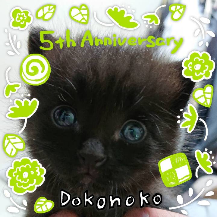 6e43a819 0ba2 4d01 a510 4be494c5299c 1622890776669