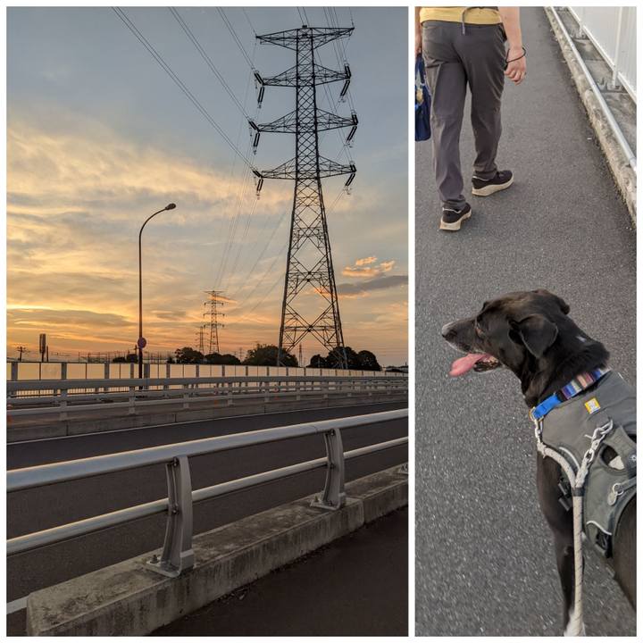 6e43b78c ecdc 4879 8ec9 95526505794a 1656068725709