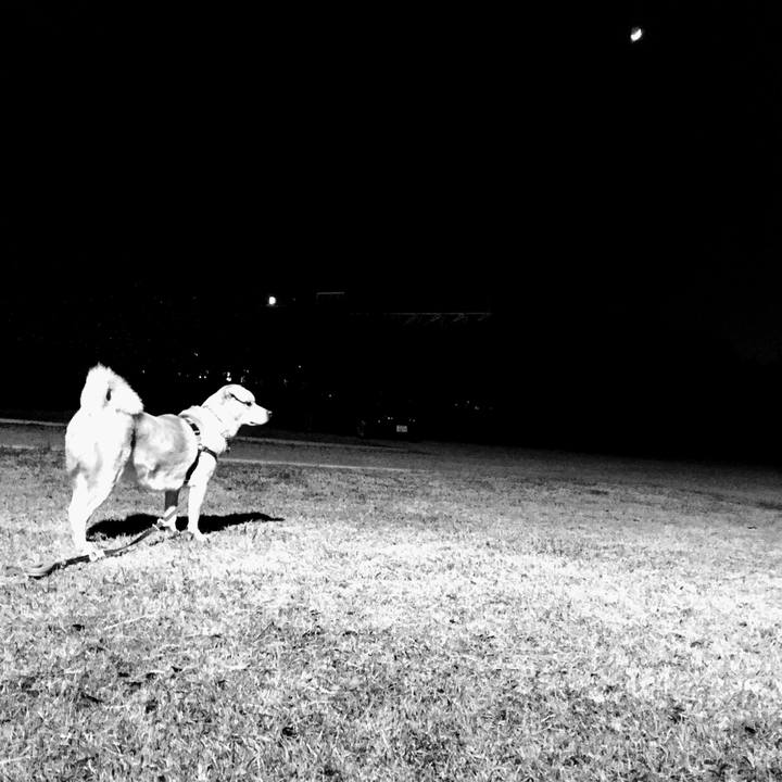 6e43de50 e81d 4266 8f41 f61bd2156489 1514079304266