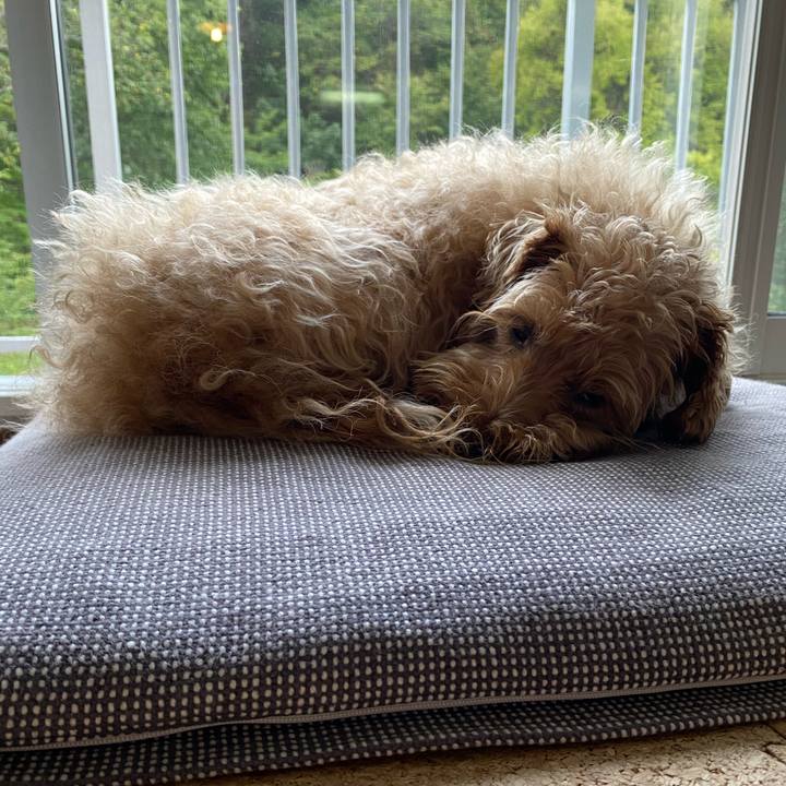 6e4449da 28db 4f1e 91fa 6ed382062aea 1663629033694