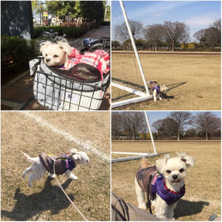 6e446300 7642 4e2e b2db 366e818c2b70 1518766400479