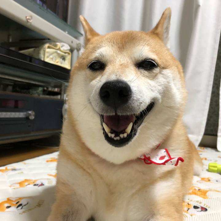 6e4494b5 33ad 4641 bddc a979a6920547 1563440435461