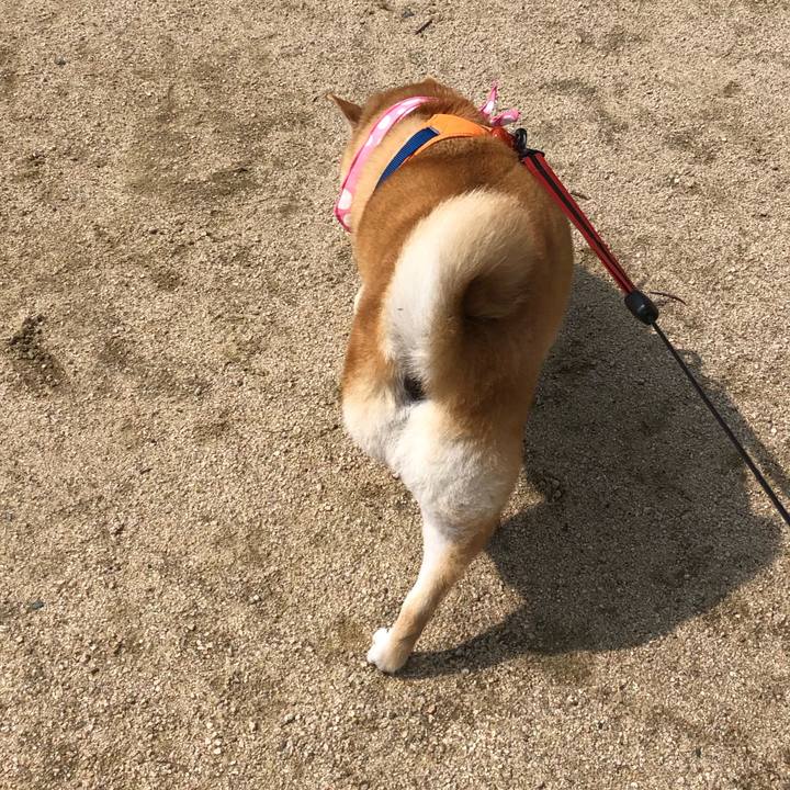 6e44c29a 738c 4a93 b66a 7718e51a46c4 1592217223930