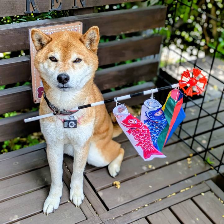 6e44cfc0 6941 4824 88d8 540b57b191bc 1746100559729