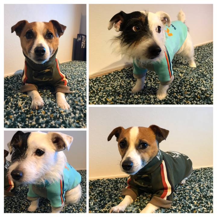 6e44d939 9ba6 46d1 8453 3479486bbb79 1519376491009