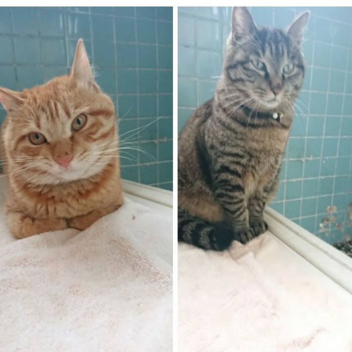 6e44e7b5 848f 4697 a953 7a15b7afb3f1 1650185731868