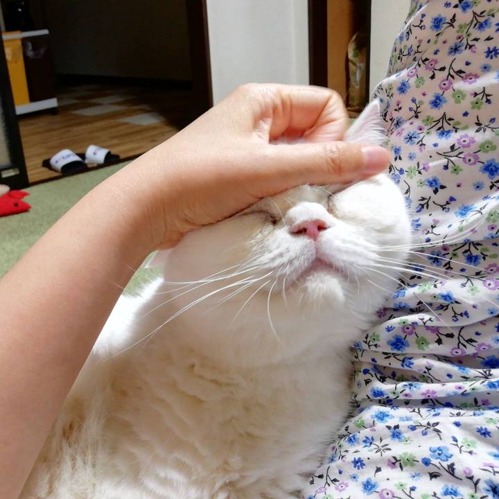 6e44f5ec d5cc 40c9 b655 d66bbafede8b 1662891618607