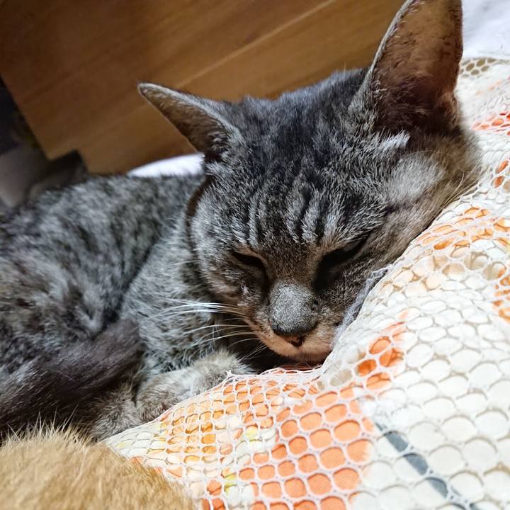 6e450a5f 0329 4bb4 886d f25cd70531fb 1572097399162