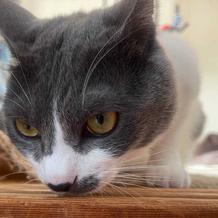 6e4588fc c7c9 4a6f 99ae 8f72b3f41d21 1638696915554