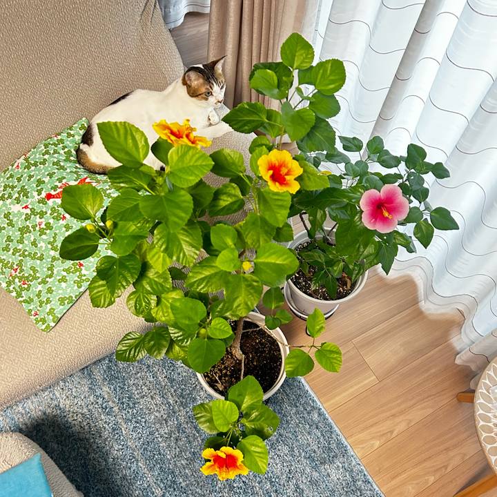 6e45b554 51b4 46a2 aeda 8bdc6475ecb6 1759098925479