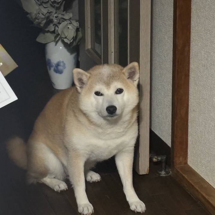 6e45ba30 47a9 447a 94d3 67af00181ada 1745619868125