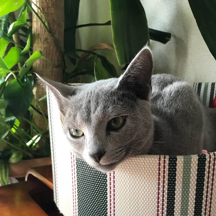 6e461da5 b7ab 4f43 aeb3 1ec764b35bef 1517748207510