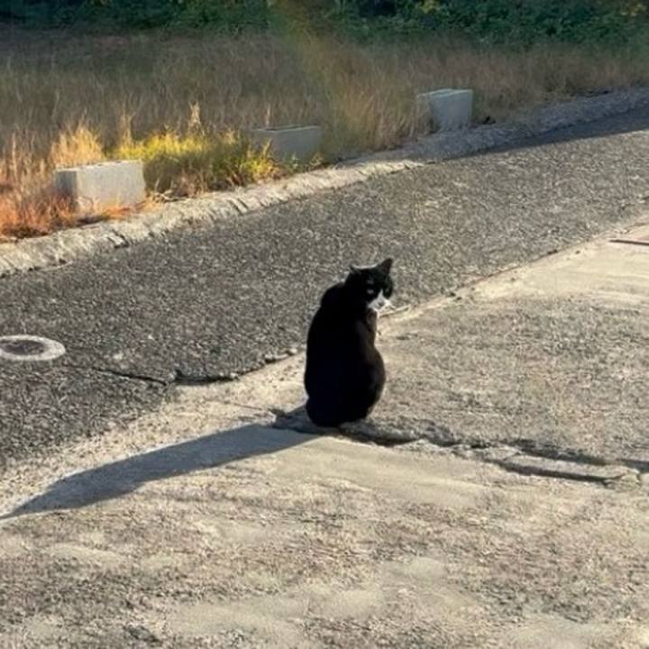 6e462136 c160 45a7 a97e 0d603a371155 1765542360367