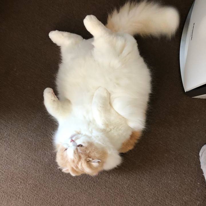 6e4686fd 803d 4eea b288 6cfbae461558 1653191040265