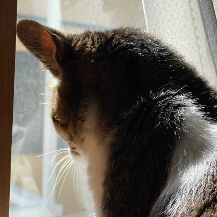 6e46abce 8305 4b6a 9f1f cb431ac71d3d 1614129767655