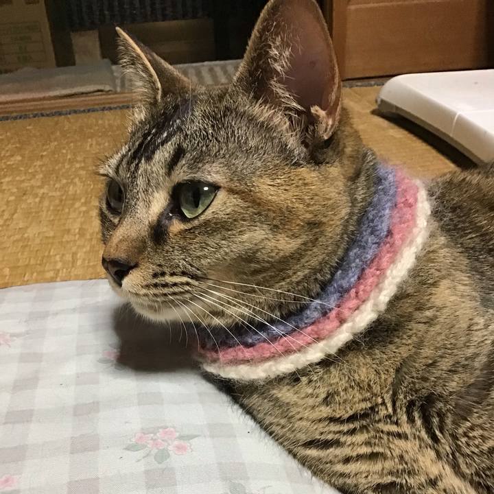 6e46aef4 bd60 4cc3 9395 f0027e186a34 1621939087018