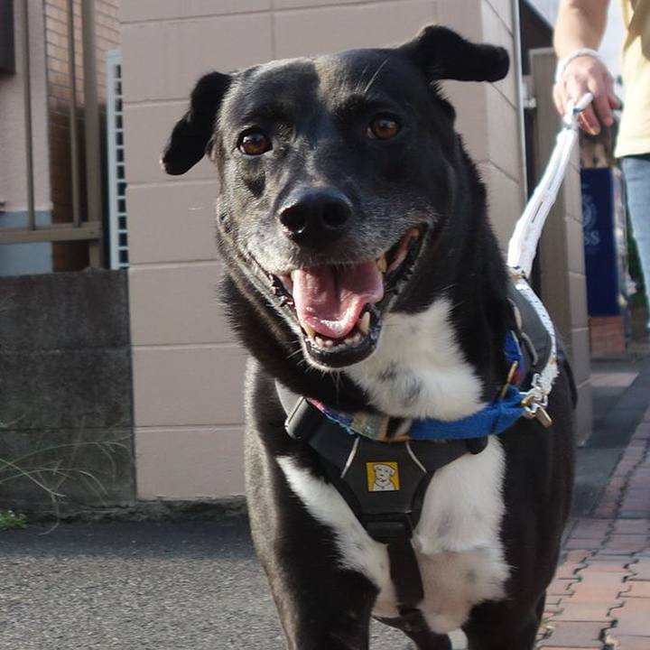 6e46b2d8 dba8 4812 9d4c f14862ba8dbf 1663114565963