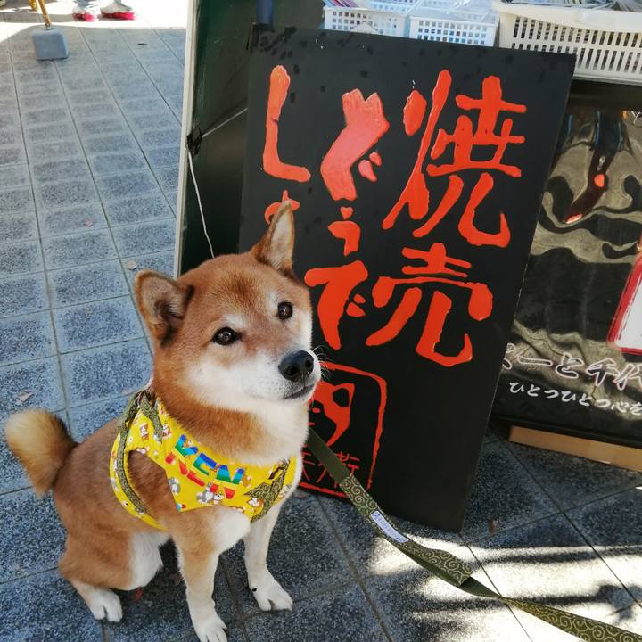 6e4752ee 454f 4b2c ad65 a68ddb7a1f5b 1603617208074