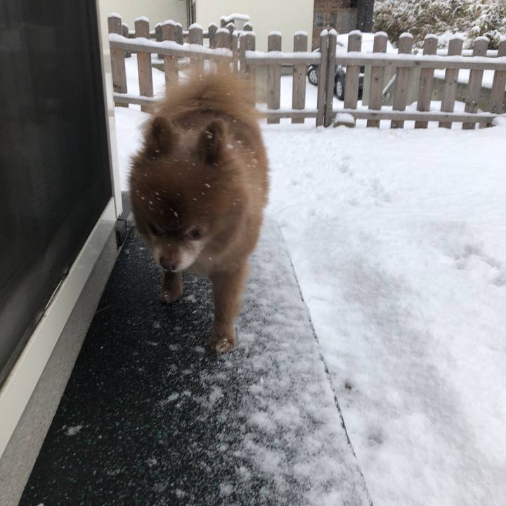 6e476fdf 34ef 4915 9c0e 5e3958de9bf0 1578696829761