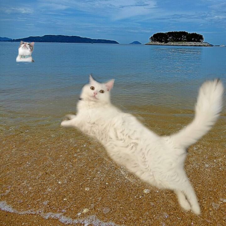 6e477a82 ebf0 466a ad23 c5caef85b8b3 1532780933388