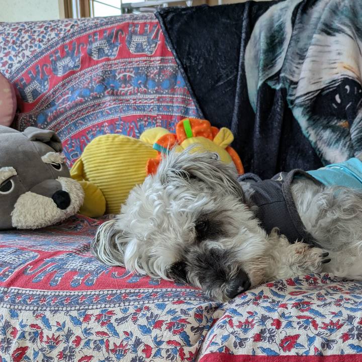 6e47a509 c8ad 494a b9fd 7b05107e8f3d 1751328882062