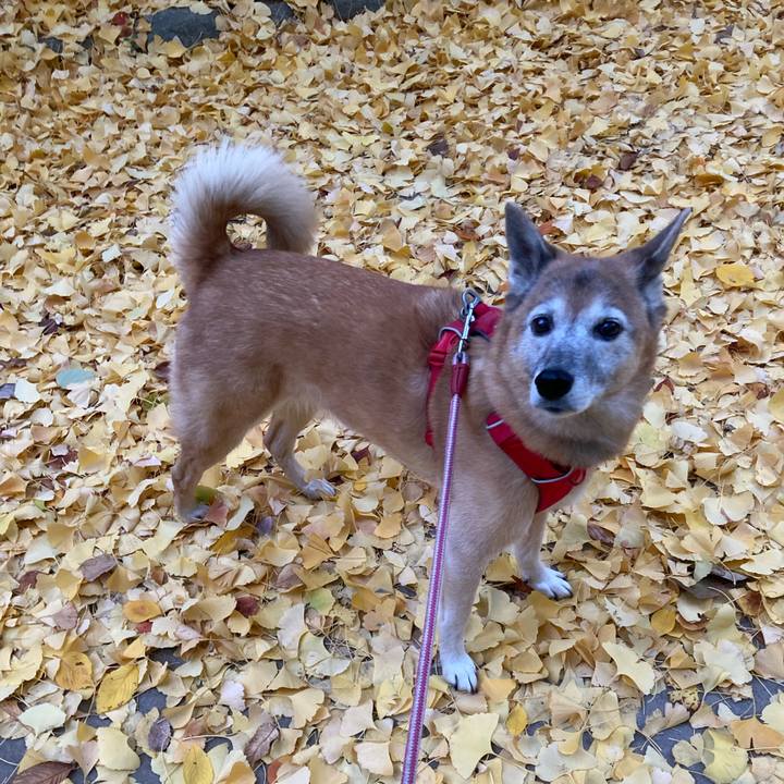 6e47a84f 0201 4f0f b064 a736f41a4bd6 1764453299406