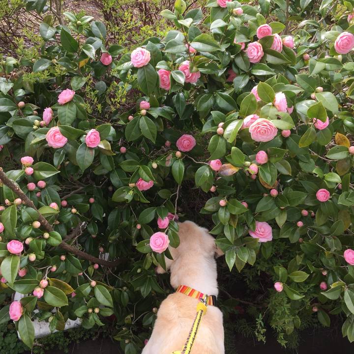 6e47e33c a23b 4ec5 9008 8f5c2f13a87b 1523773170955