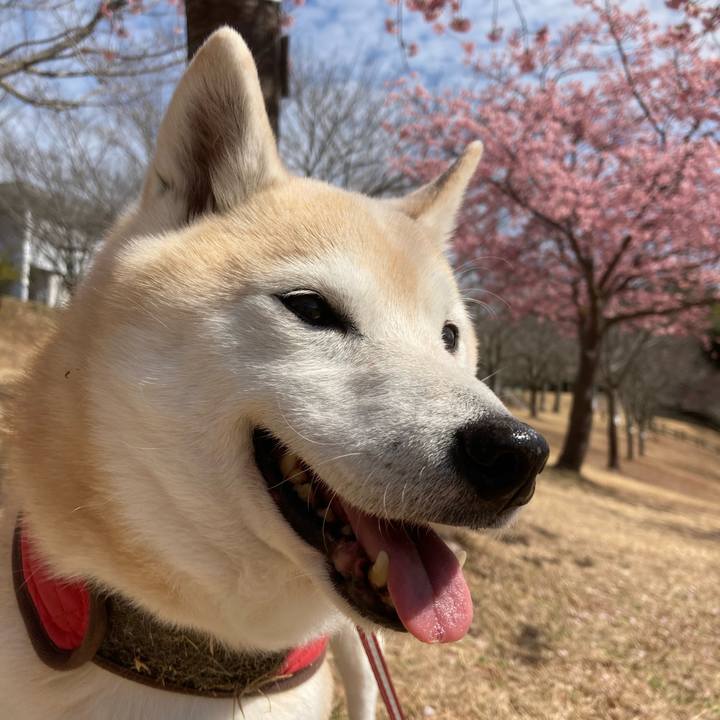 6e47e610 94c1 4ab9 a1f2 a83b8d99c4be 1645443300139