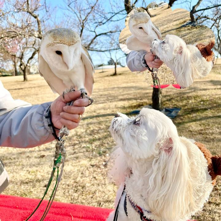 6e47f56e 7580 4460 990a 967e5cfe29f2 1644992173629