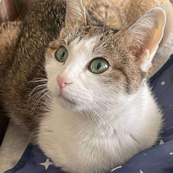 6e48389c ccba 4bba 8856 0e92356d5a6a 1640997553733