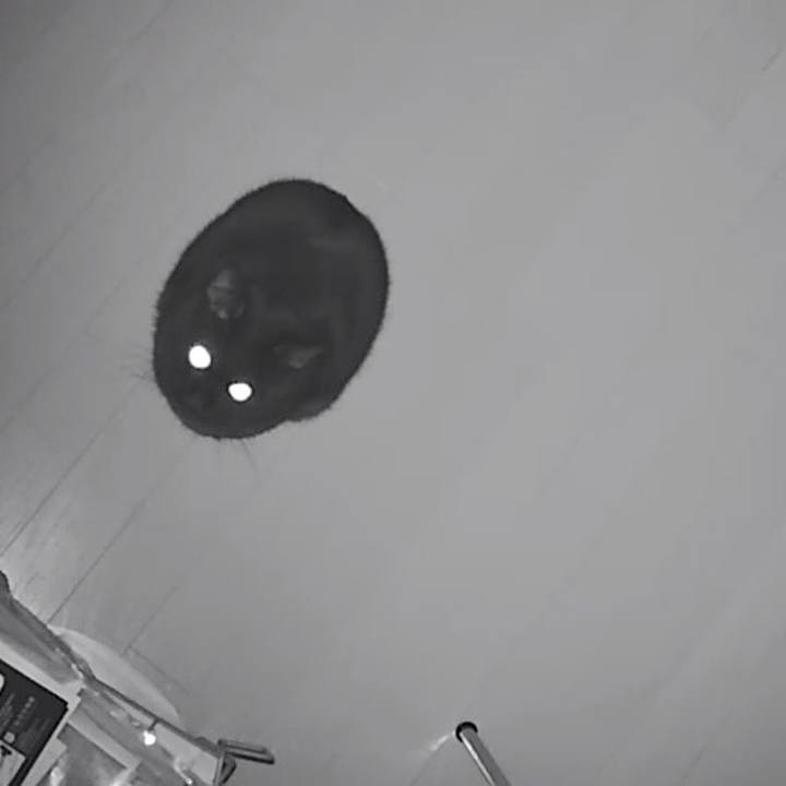 6e48464a a647 4e05 b786 9e7cdd1957af 1511521643685