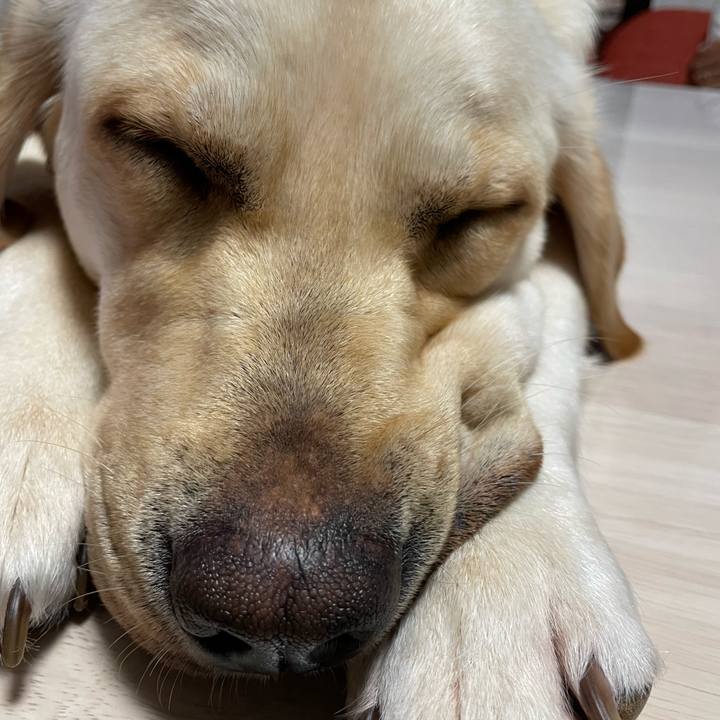 6e4849d1 ee1b 4756 9eae 7d017cb80771 1657380463853