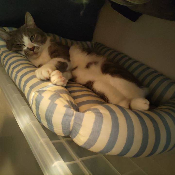 6e48a1ca c91e 46d3 a05c dd95544cba76 1653519691918