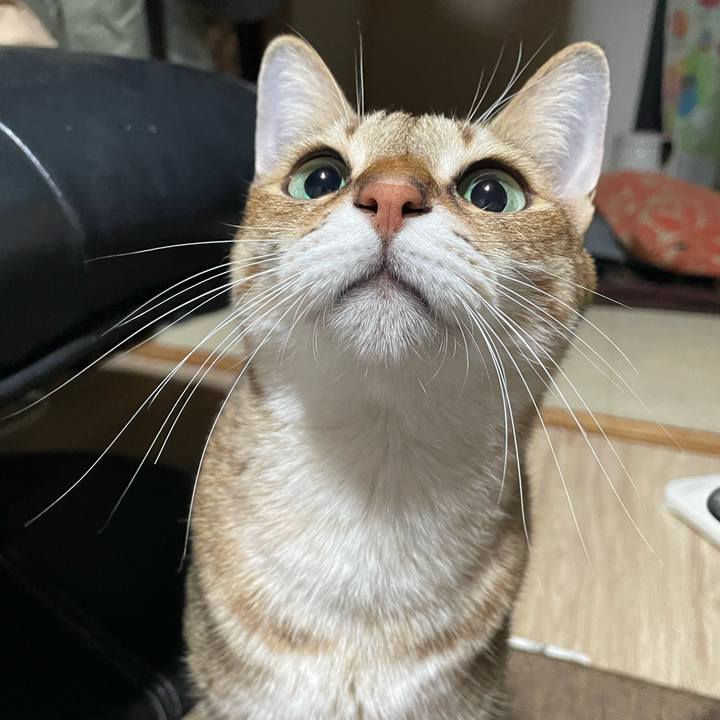 6e48a3bf 4e8b 49ef af6e 1352de257c4a 1698449758320