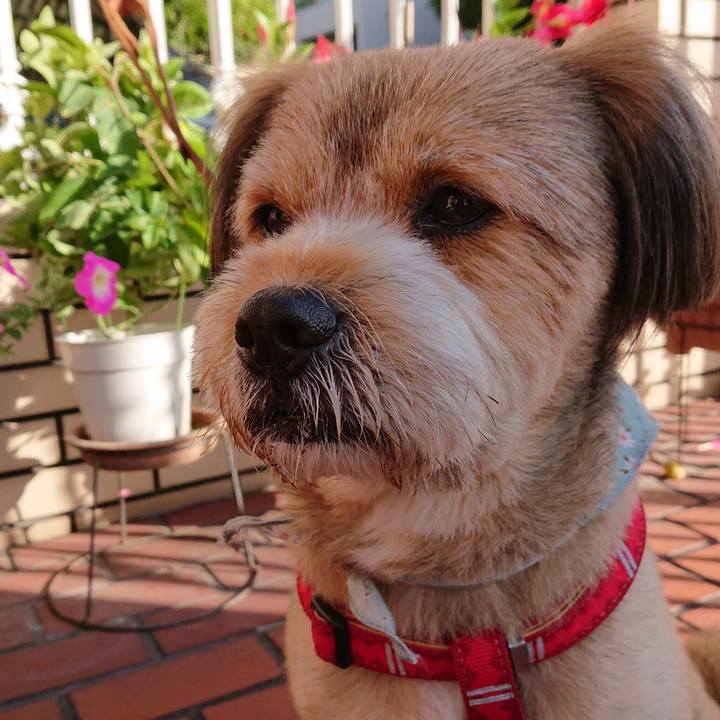 6e48de3d 48ba 4886 abcd 21145d15112b 1561331635549