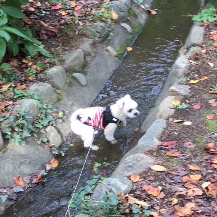 6e48eb75 b81a 46f1 bfcd 8d7195562a46 1542522532735