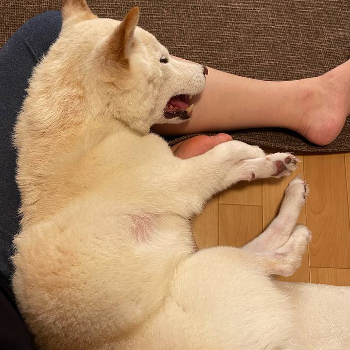 6e48ecf5 668a 4296 8dd0 d421efa8cca3 1664578290012