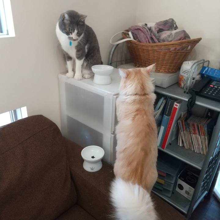 6e48f393 6a5a 457b bfe1 d263bf82e9b8 1644023467918