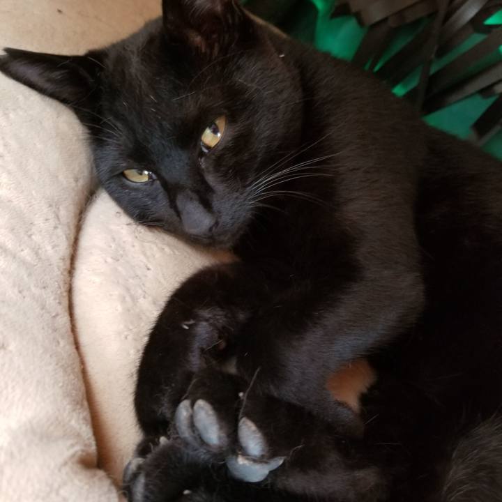 6e48fc91 0a05 480c a93a c8289b314bff 1651131598111