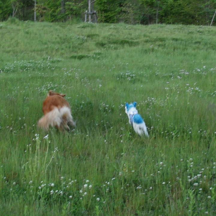 6e490382 ace9 4990 8cb7 3063a873b316 1519317084415