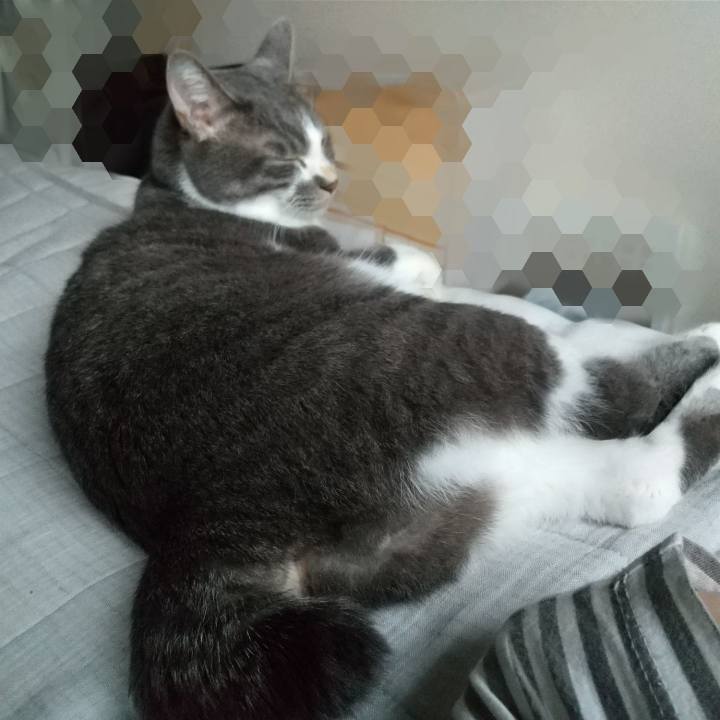 6e49155a 2e7e 4d44 bcc6 1b698bc94b3b 1631144256832