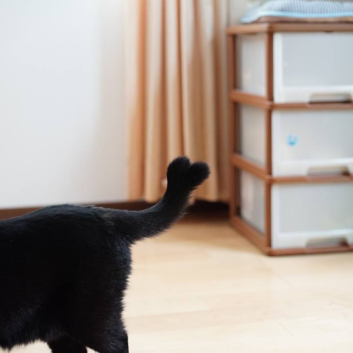 6e491a4e 53d9 436c 8e5f 5be3482640b3 1534118014886