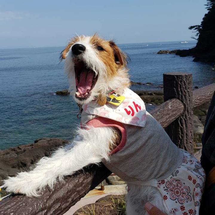 6e493415 aad5 4cc4 95f1 b483d3e9b7f5 1601611441850